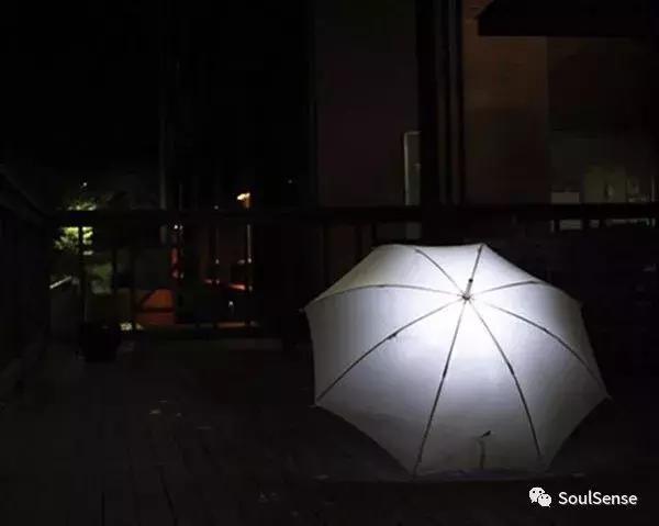 低调又不失奢华的雨伞,高档收藏雨伞