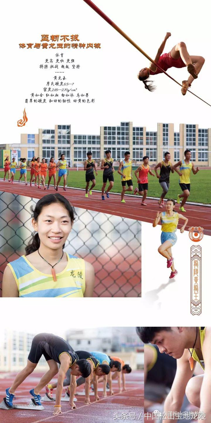 缅甸黄龙玉和龙陵黄龙玉哪个好,龙陵黄龙玉真实图片