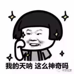 民警怎么判断一句话的真假,怎么辨别交警发来的信息真假