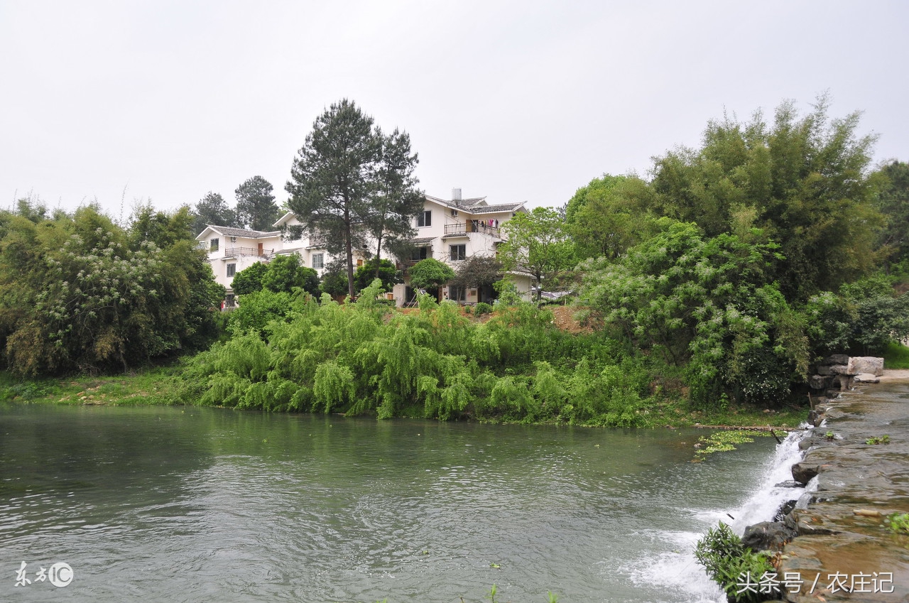 西安秦岭农家乐排名前十名,西安周边50元吃住农家乐