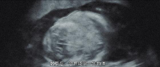 要说尺度,法国片有时比日本片更百无禁忌!