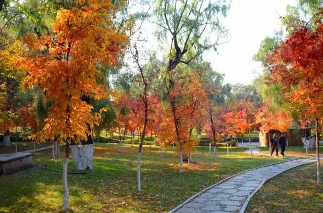 长春冬季最美拍照地,长春有一个很适合拍照的地方