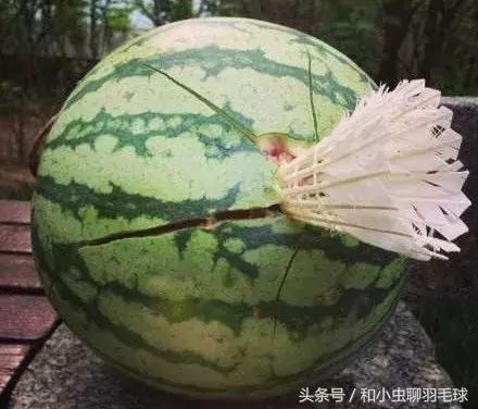 羽毛球和网球哪个更容易受伤,羽毛球运动受伤集锦