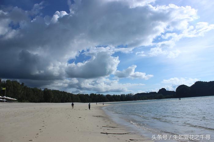 去兰卡威红树林,去兰卡威怎么玩