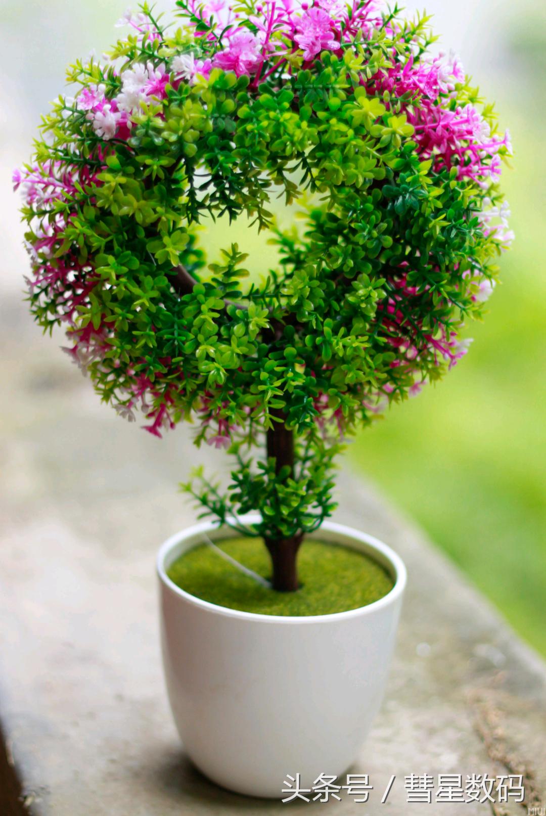 灏忕背5鍒嗕韩,鍒嗕韩5s鍐呭