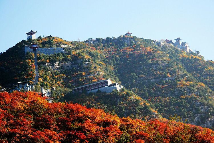 秋韵流过的晋城红