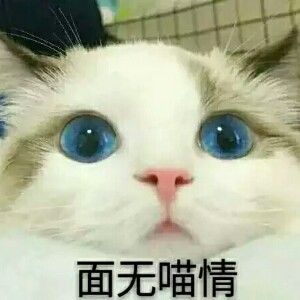 十二星座2020学业运气排名,12星座逢考运势