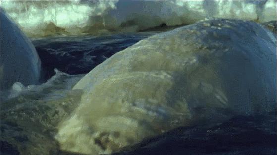 等了17年,等了你十七年