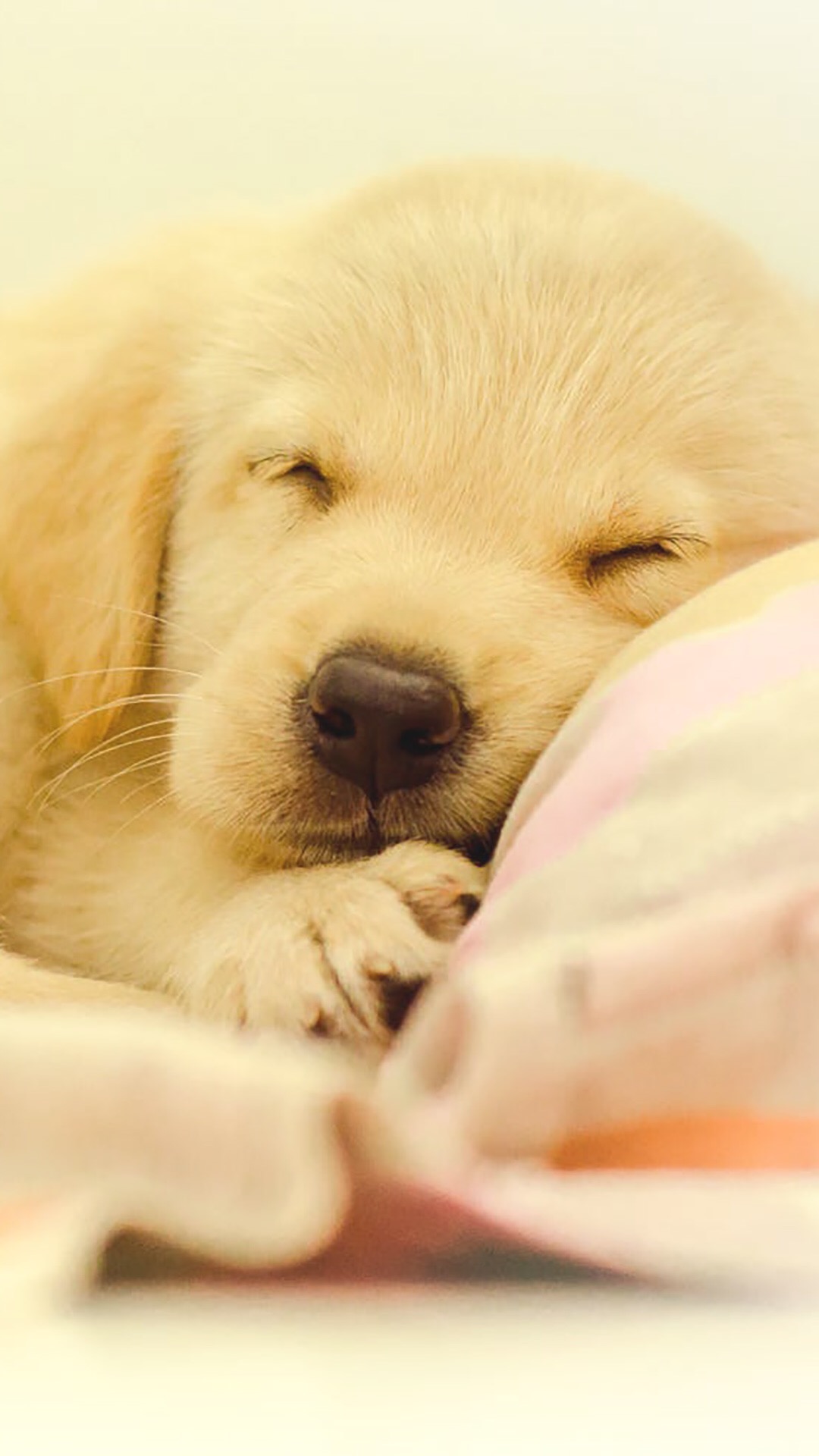 锁屏和桌面壁纸一套唯美,4k佛系唯美意境黑色锁屏壁纸