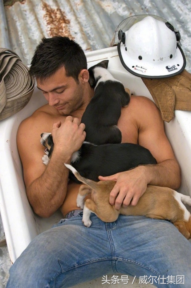 澳洲消防员公益日历图,澳大利亚消防员的日历