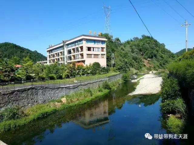 开着房车去遛娃,开着房车带狗狗出去玩