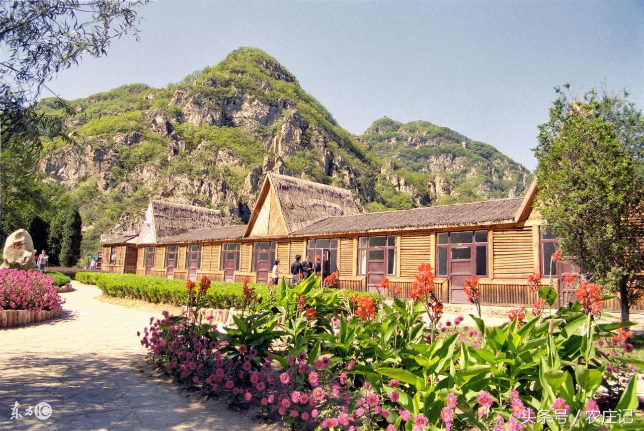 大连农家院哪个好玩,大连金州400平农家院