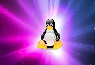 操作系统端口是如何被分配的,操作系统端口和服务怎么映射的