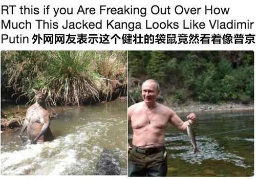 绮夌櫧鐏扮豢钃濋粦鐧介噾,鐏扮豢绮夌櫧钃濋粦鐧介噾