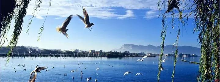 西安到哪里的机票最便宜国庆,元旦机票西安飞哪里最便宜