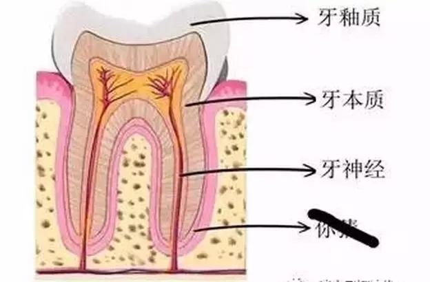 牙齿上的小坑需要补吗,牙齿上面全是被虫子咬的小洞洞