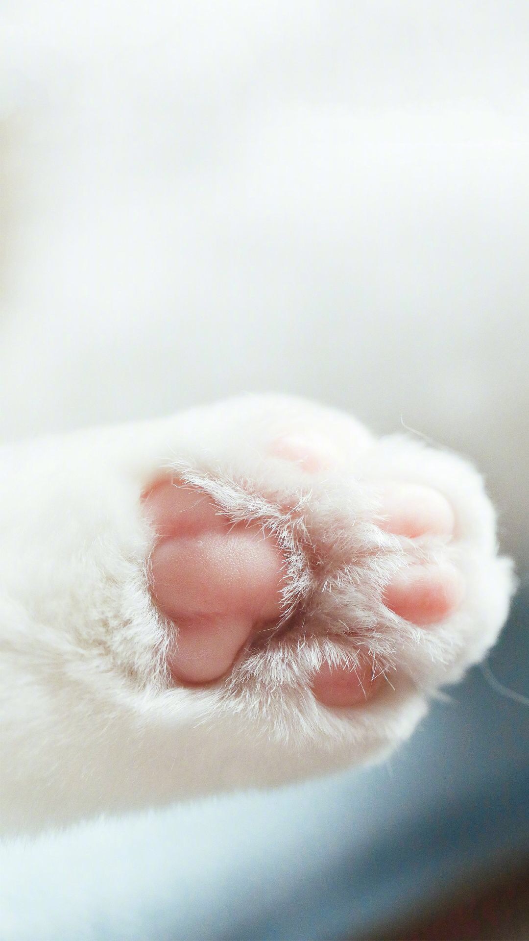 唯美1080×1920P高清壁纸锁屏画面待机背景图！请在wifi环境查看