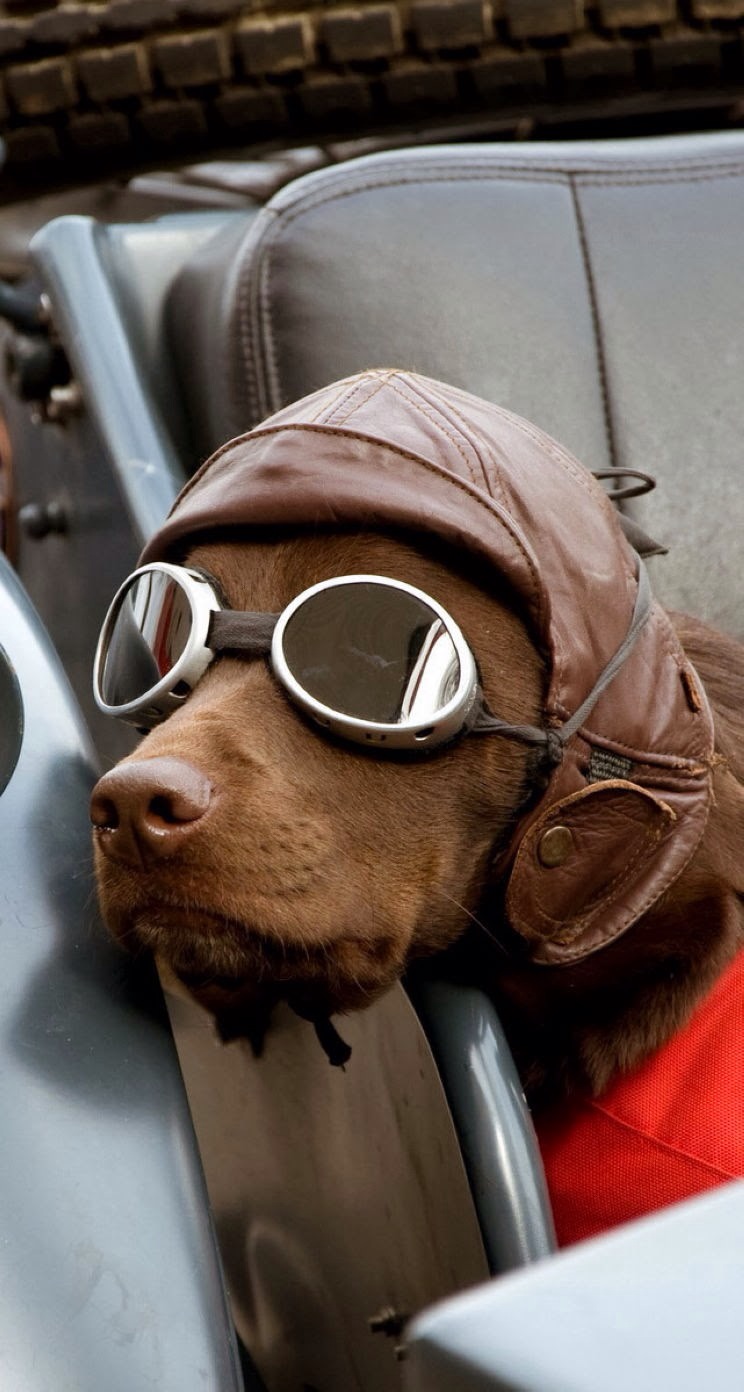 唯美1080×1920P高清壁纸锁屏画面待机背景图！请在wifi环境查看