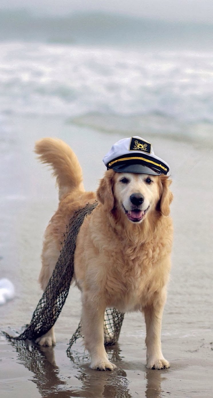 唯美1080×1920P高清壁纸锁屏画面待机背景图！请在wifi环境查看