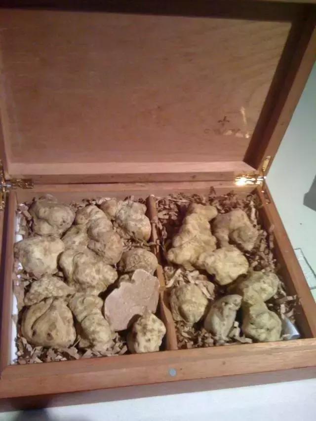 洛杉矶最顶级的餐厅,洛杉矶有什么好吃的美餐