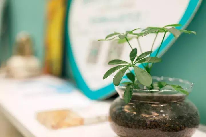 童话般Tiffany蓝！全球第1家抗衰门店落户天津！终于被我找到了！