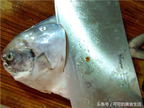 宁波鲳鱼的家常做法,宁波烧鲳鱼的做法