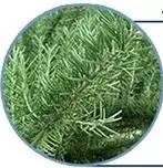 sk-ii神仙水低价,sk-ii神仙水购买推荐