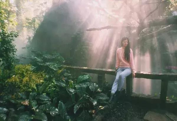 去厦门旅游自由行攻略图,超级详细厦门旅游攻略