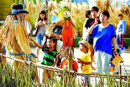 农庄经营失败案例,农庄亏损如何盈利