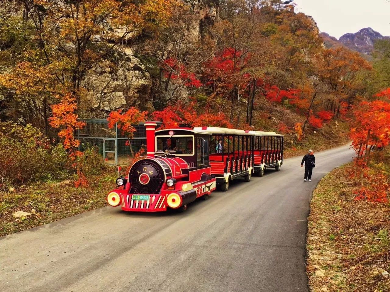 新鲜出炉~赏枫HOT！百名摄影家齐聚庄河天门山