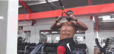 多角度全程移动背部训练：6个动作充分刺激激活背部肌群