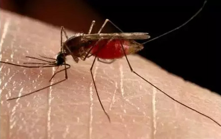 换季宝宝皮肤红红的怎么办,宝宝过敏季节皮肤怎么护理