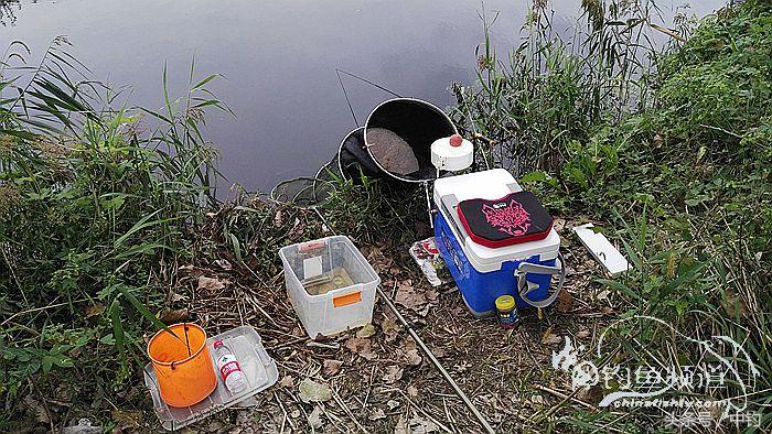 钓鱼之西部风情