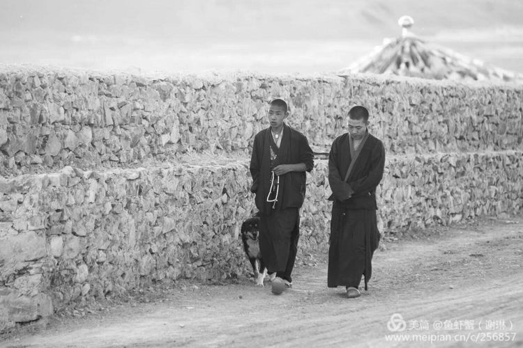 只要能去*藏西**,头痛高反什么的都不care