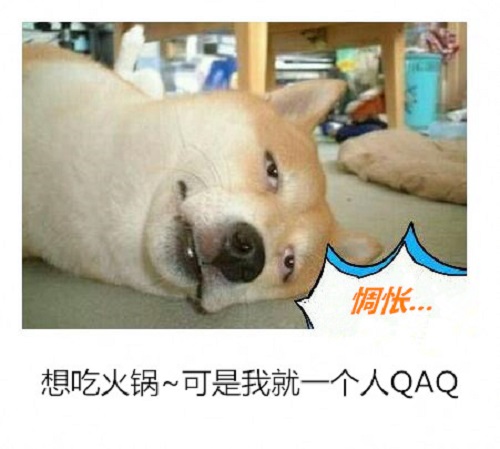 自己吃火锅单身狗的福音,单身狗怎么吃火锅