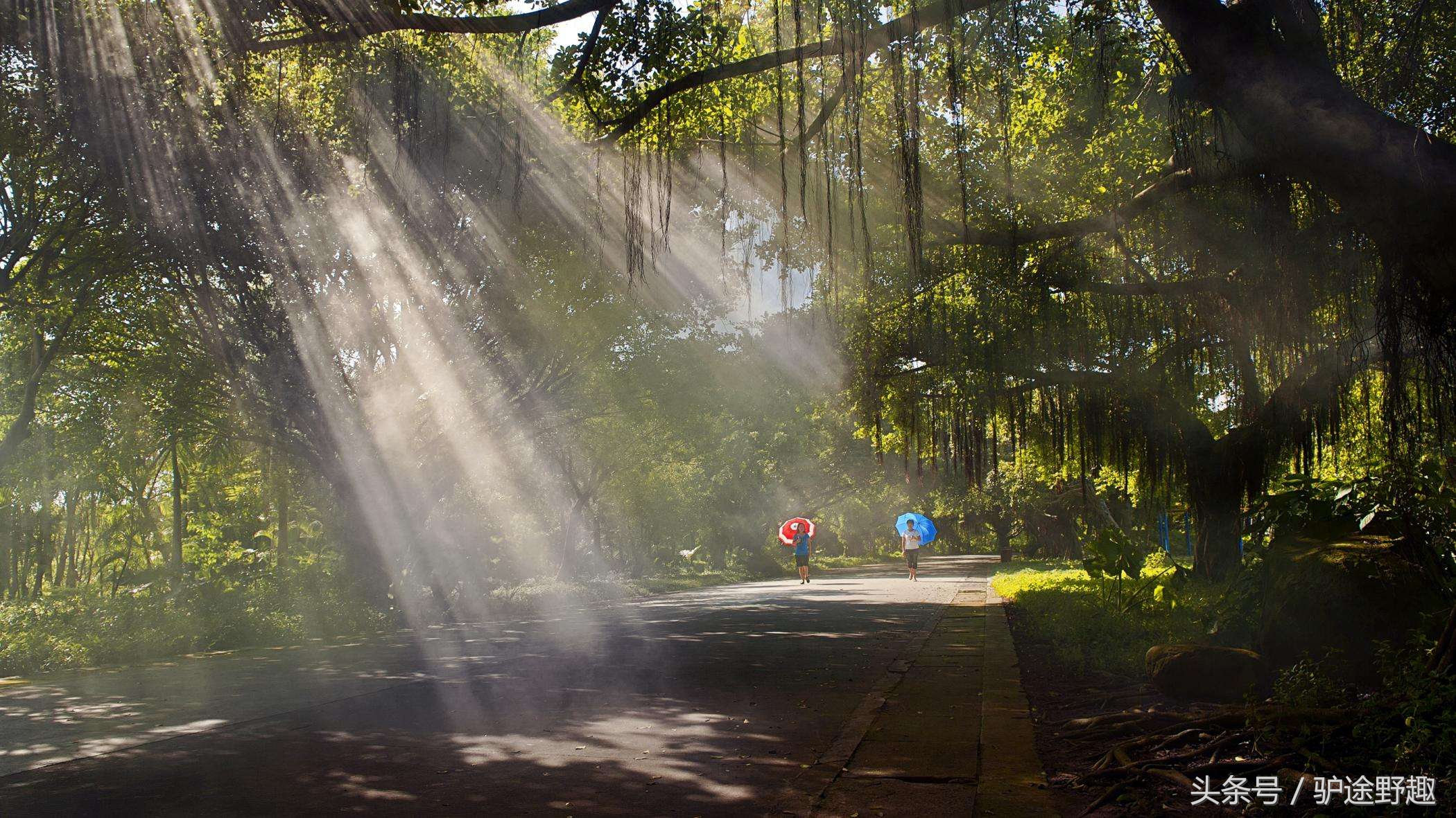 雷州半岛的主要景点是,广东雷州半岛旅游景点