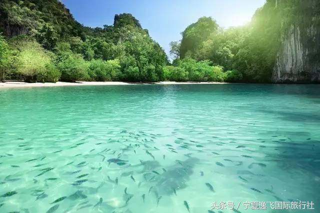 签证知识大全，你想要知道的都在这里