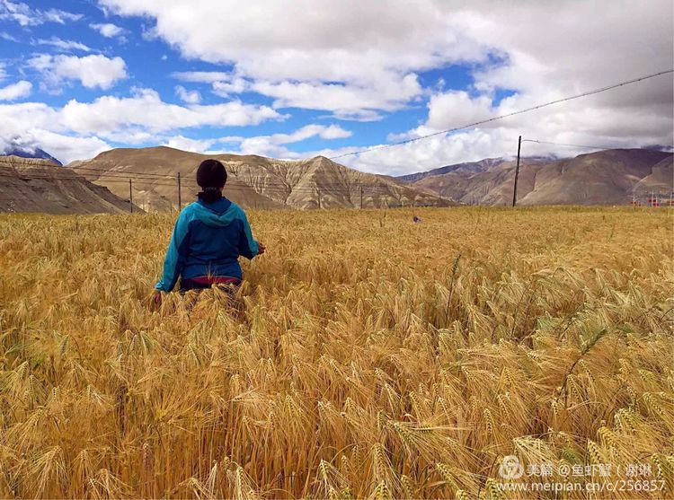 只要能去*藏西**,头痛高反什么的都不care