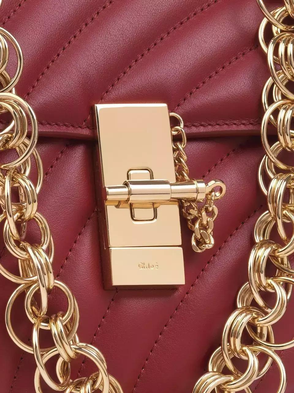 刘雯背的新款包是什么品牌,刘雯背过的一款蔻驰的包包