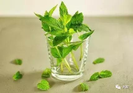 慢性肠炎、反复腹泻不是病！一碗粥把肠胃吃好！