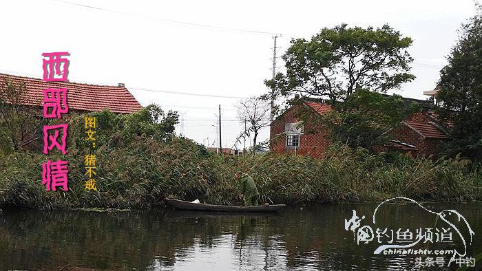 钓鱼之西部风情