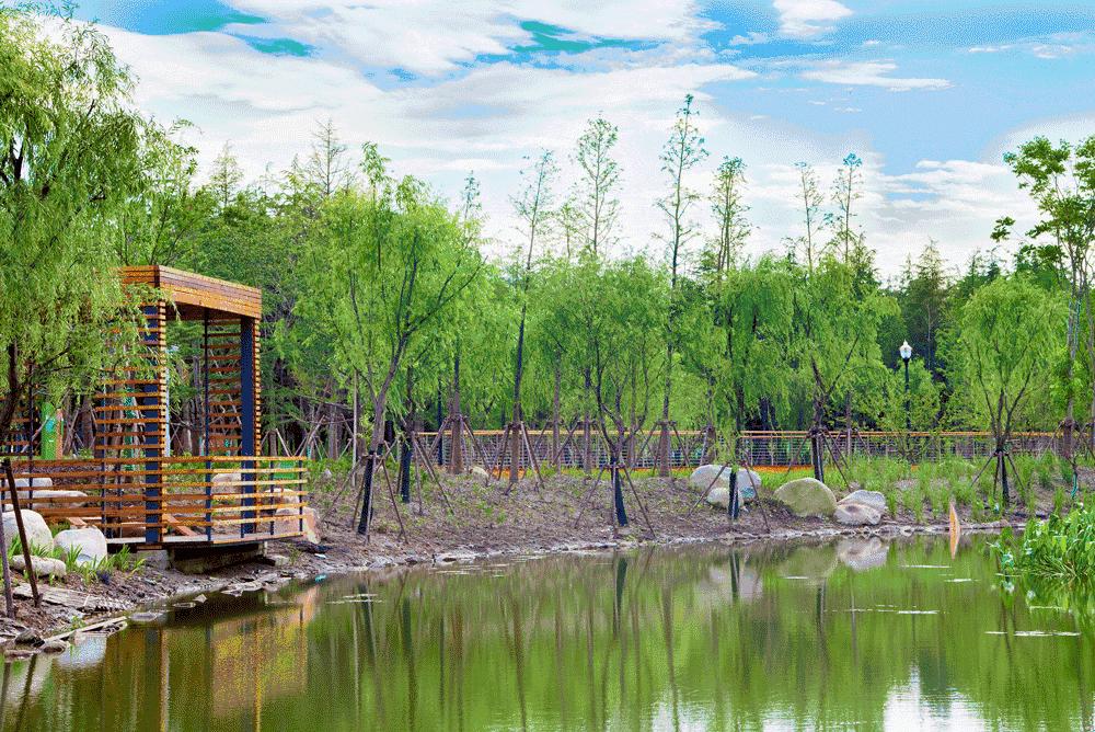 上海免费景点排行榜前十名,2022春节上海景点免费开放