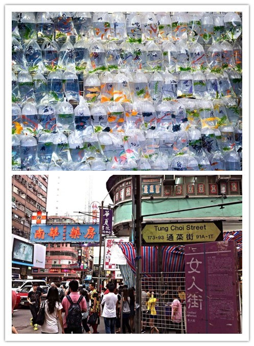 香港购物全攻略去哪儿买买买,香港购物最全的攻略