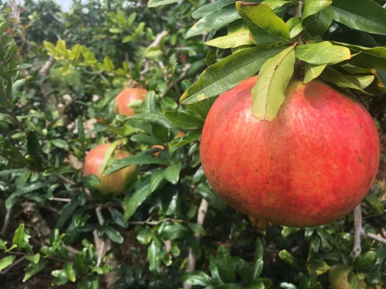 小伙伴们准备好了吗配音,小伙伴们准备好了吗语音