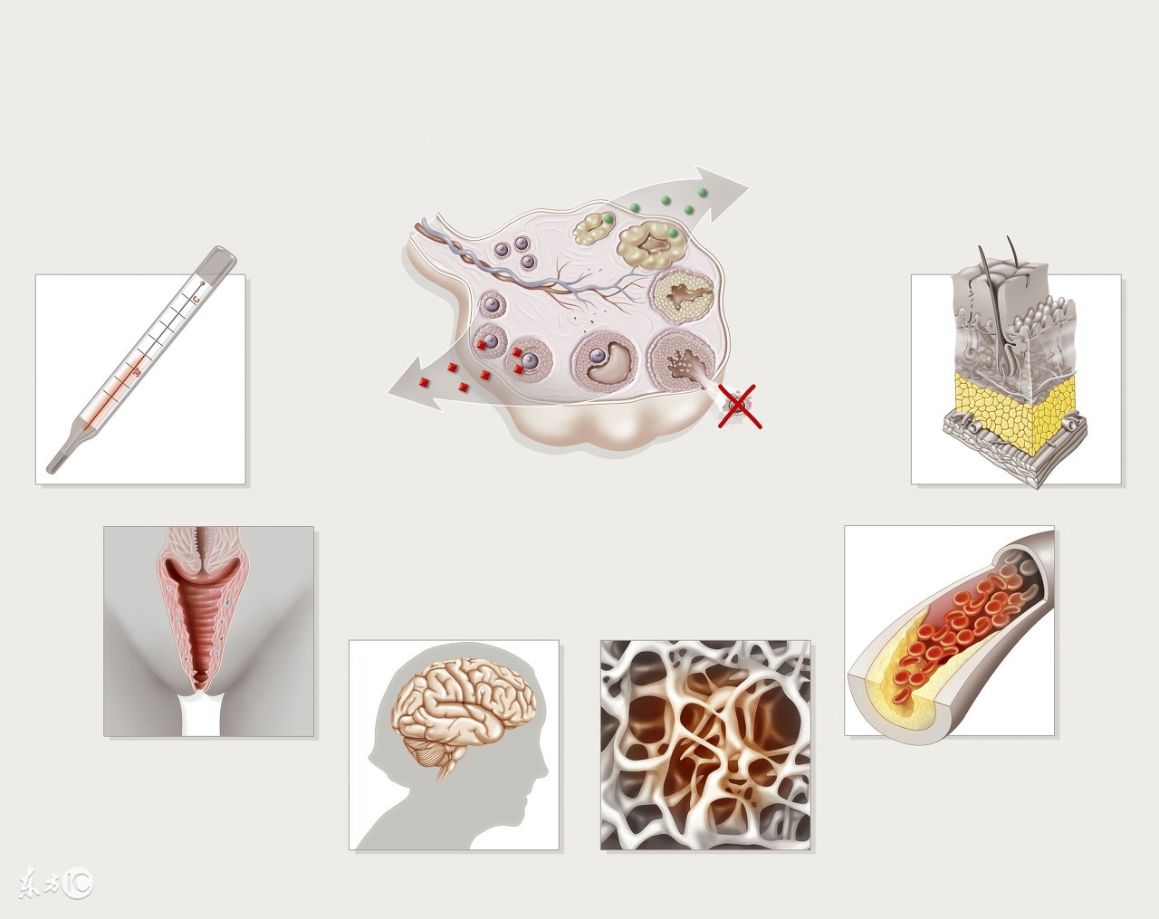 怀孕初期hcg孕酮雌二醇参考值,孕4周孕酮和hcg参考值对照表