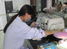 组织切片的优缺点,组织学切片处理过程