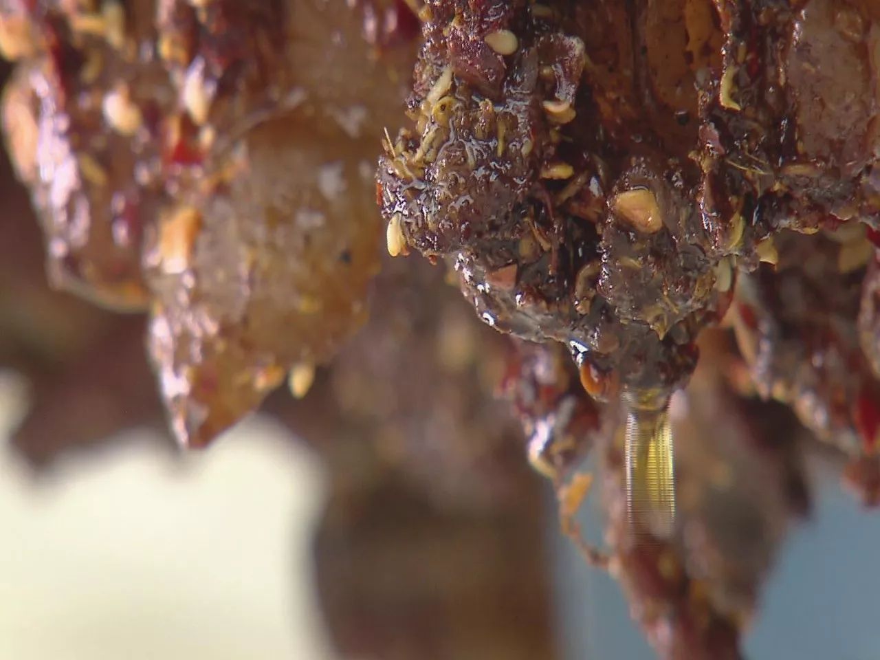 小伙伴们准备好了吗配音,小伙伴们准备好了吗语音