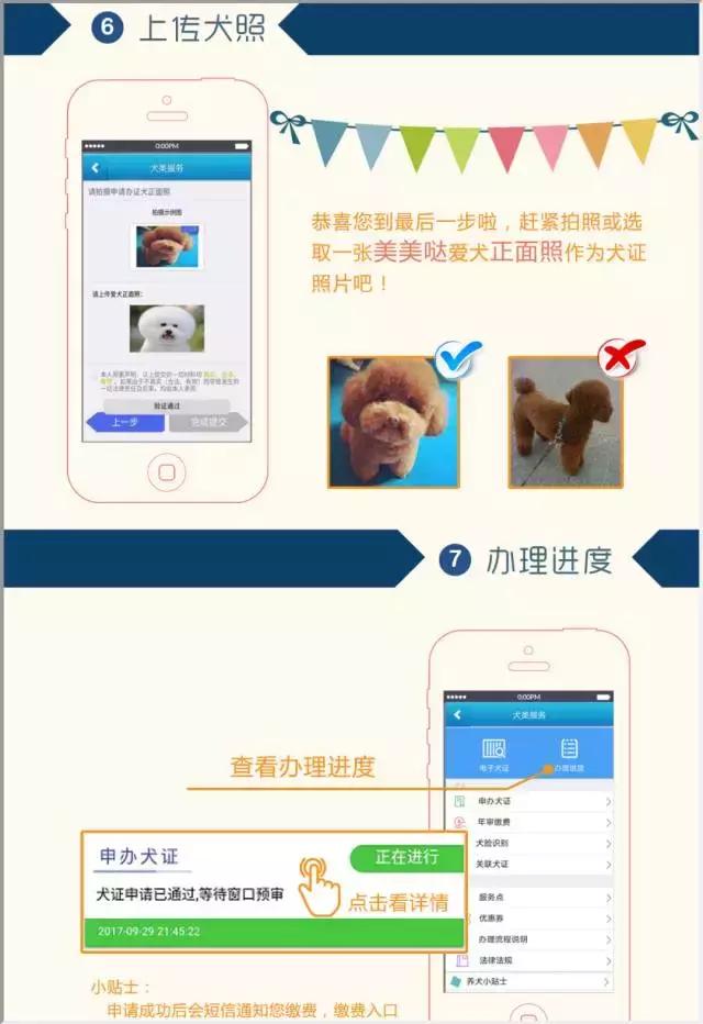 杭州网上办理狗证详细流程,杭州办理狗证详细流程