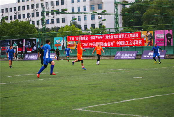 湖北省足球高校联赛,湖北高职组足球联赛