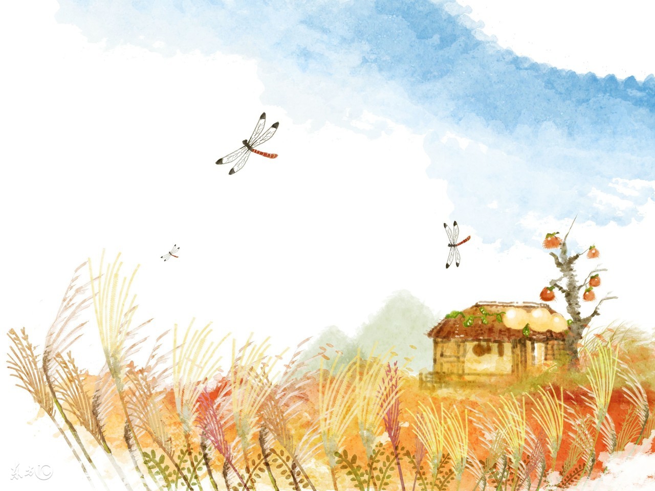 得过过敏性紫癜的人注意什么,吸入性的过敏性紫癜要注意什么